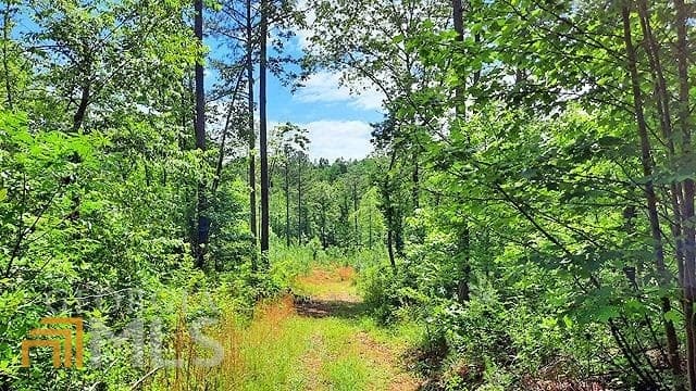 unimproved land for sale at 2243 Damascus Road, Ball Ground, GA 30107 — photo 10