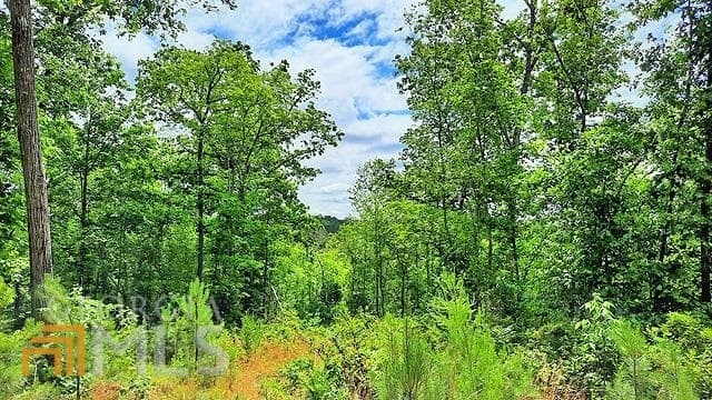 unimproved land for sale at 2243 Damascus Road, Ball Ground, GA 30107 — photo 8
