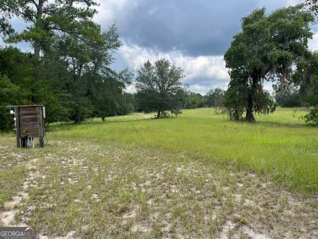 residential lot for sale at 10532 Stillmore Highway, Metter, GA 30439 — photo 2