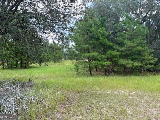 residential lot for sale at 10532 Stillmore Highway, Metter, GA 30439 — photo 3