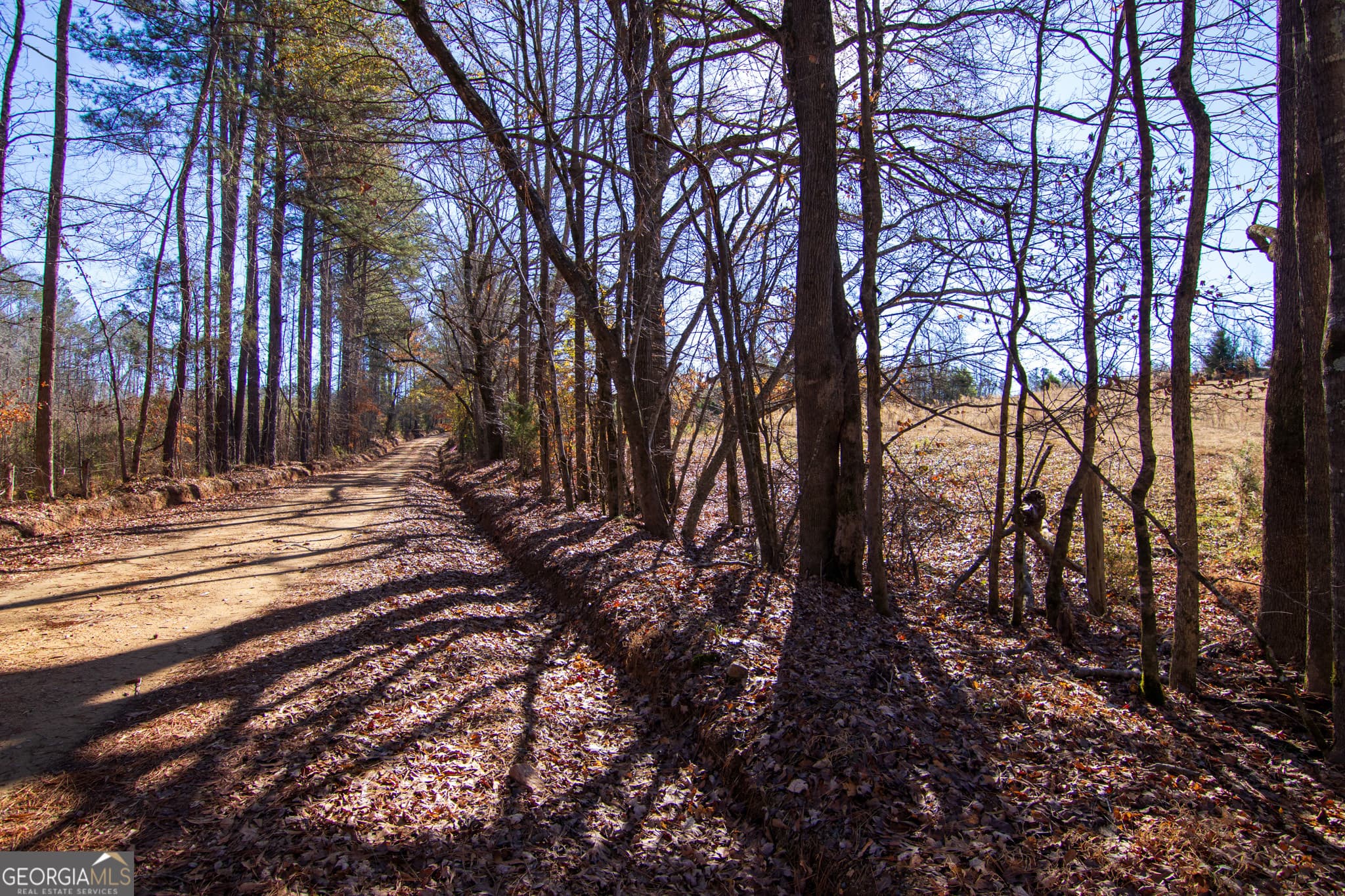 residential lot for sale at TRACT 2 - 0 ST. PAUL CHURCH Road, Shiloh, GA 31826 — photo 2