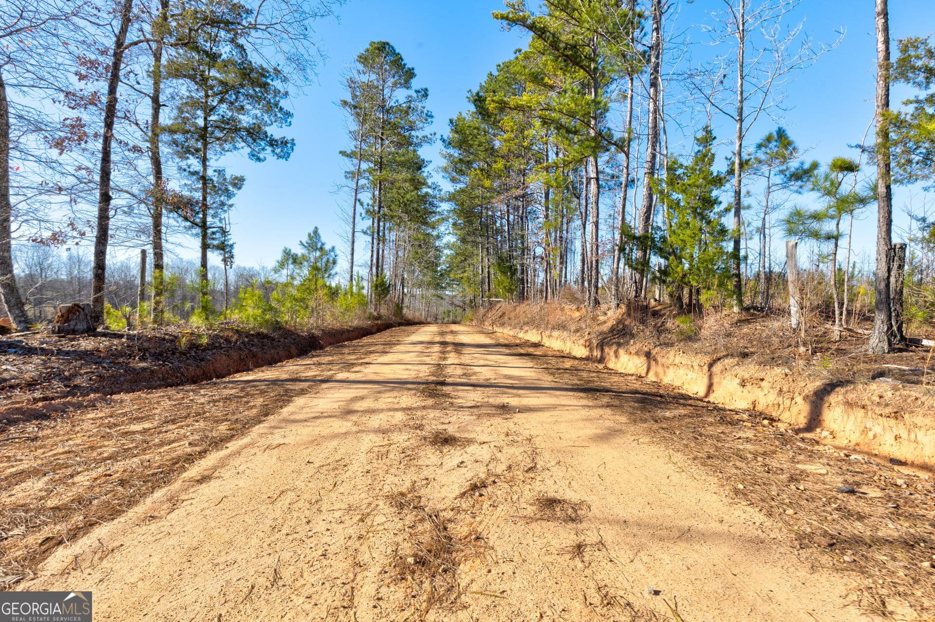 residential lot for sale at TRACT 2 - 0 ST. PAUL CHURCH Road, Shiloh, GA 31826 — photo 6