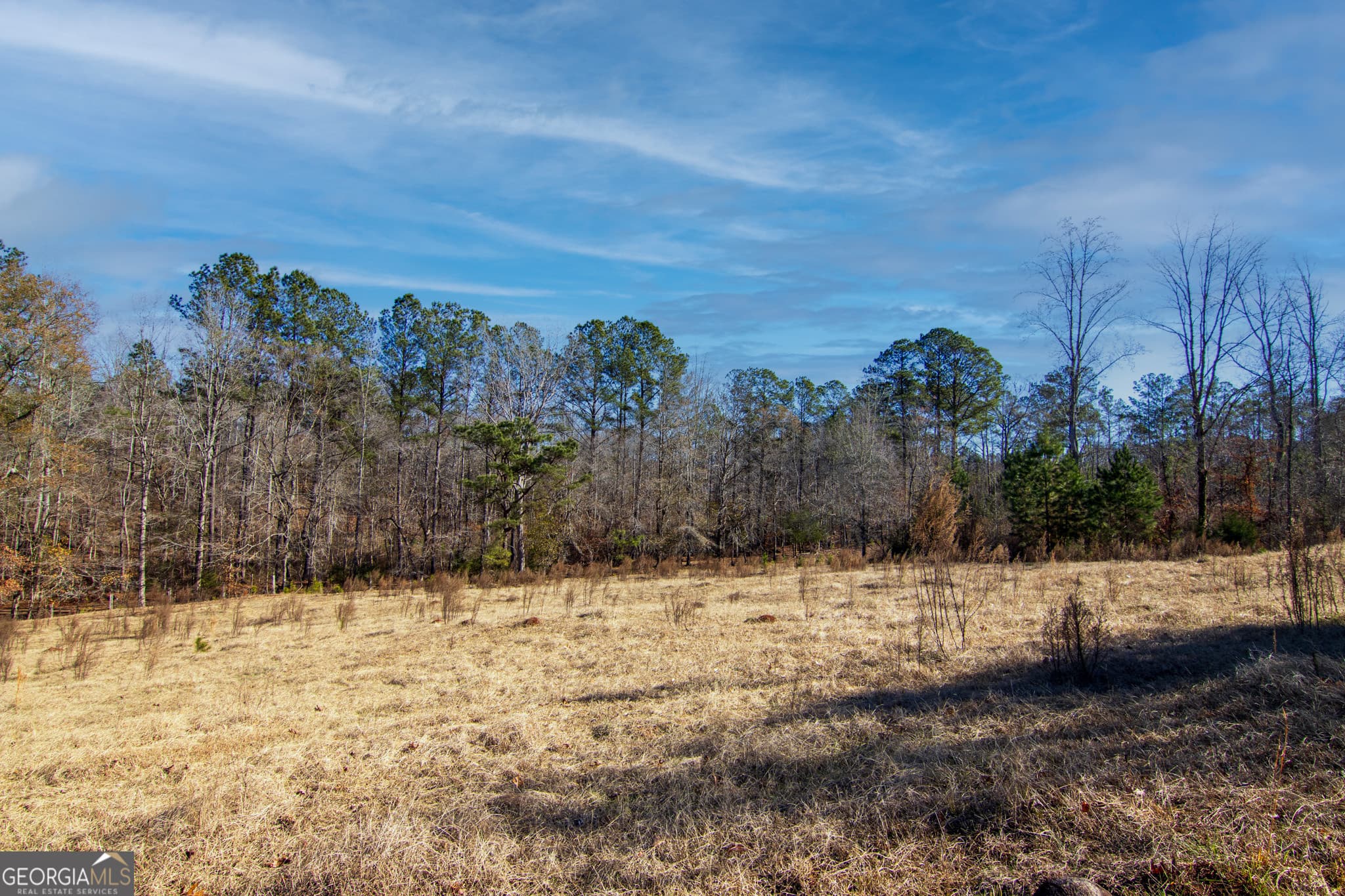 residential lot for sale at TRACT 2 - 0 ST. PAUL CHURCH Road, Shiloh, GA 31826 — photo 7