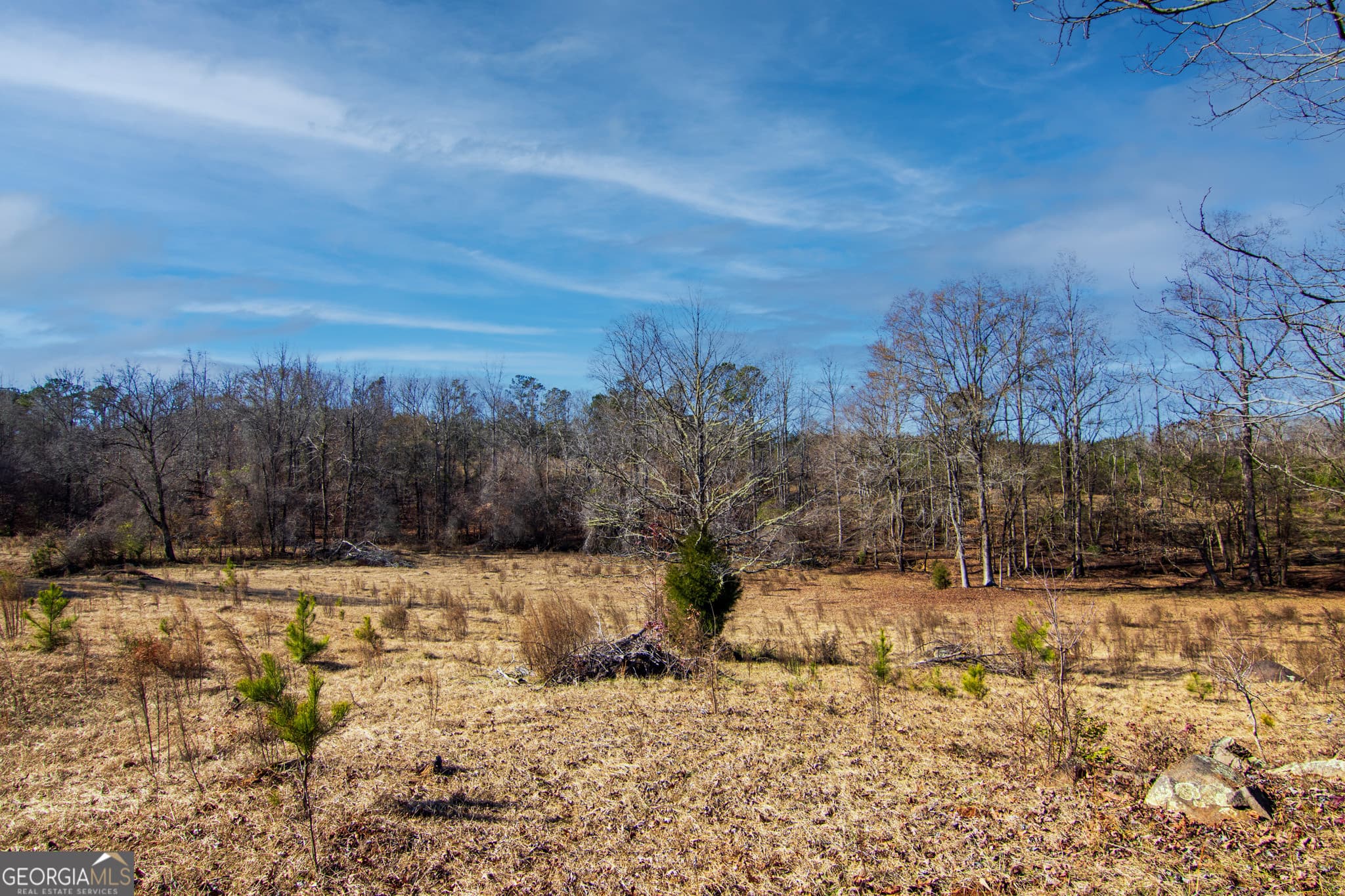 residential lot for sale at TRACT 2 - 0 ST. PAUL CHURCH Road, Shiloh, GA 31826 — photo 3