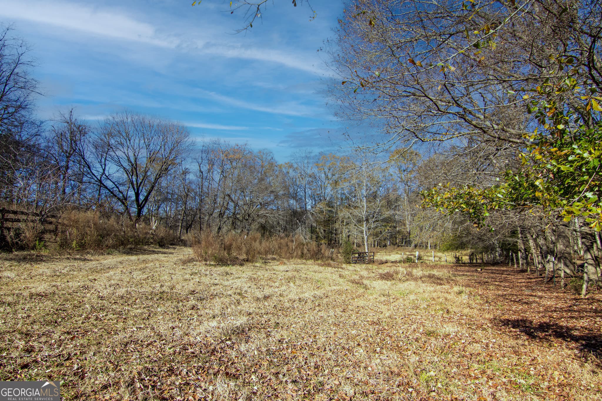 residential lot for sale at TRACT 2 - 0 ST. PAUL CHURCH Road, Shiloh, GA 31826
