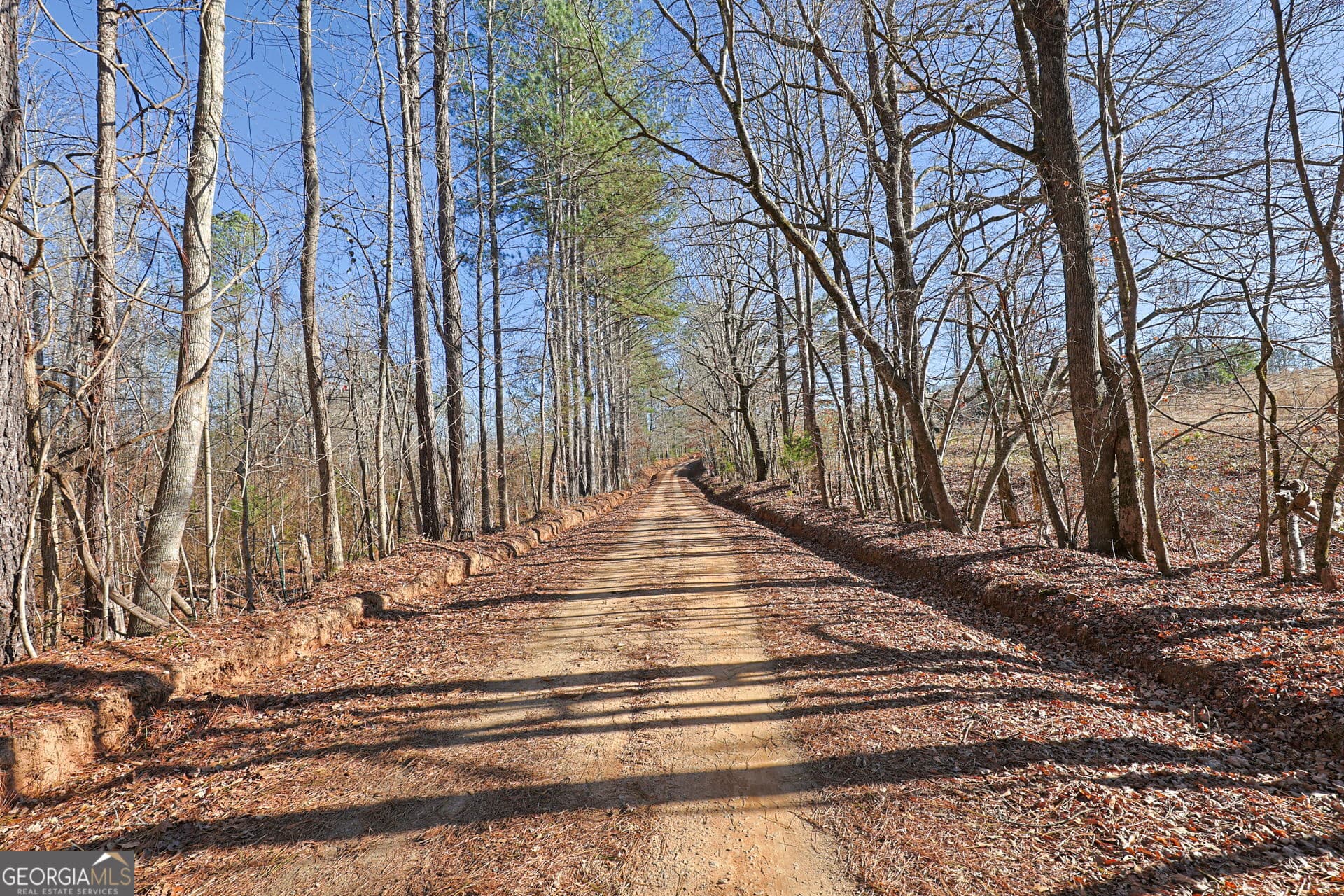 residential lot for sale at TRACT 2 - 0 ST. PAUL CHURCH Road, Shiloh, GA 31826 — photo 5