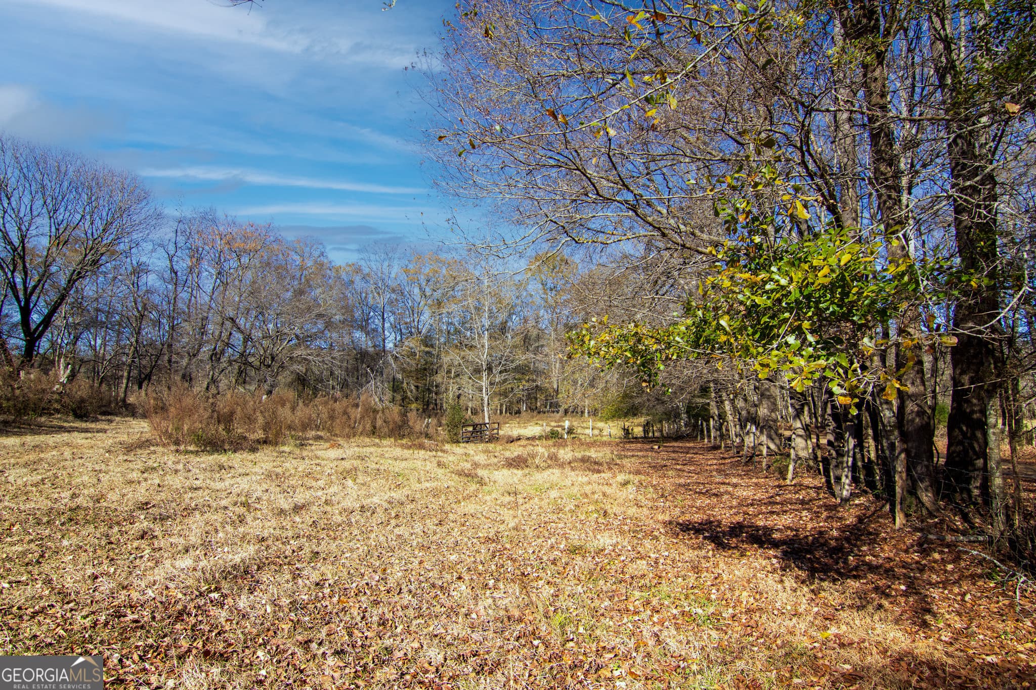 residential lot for sale at TRACT 2 - 0 ST. PAUL CHURCH Road, Shiloh, GA 31826 — photo 9