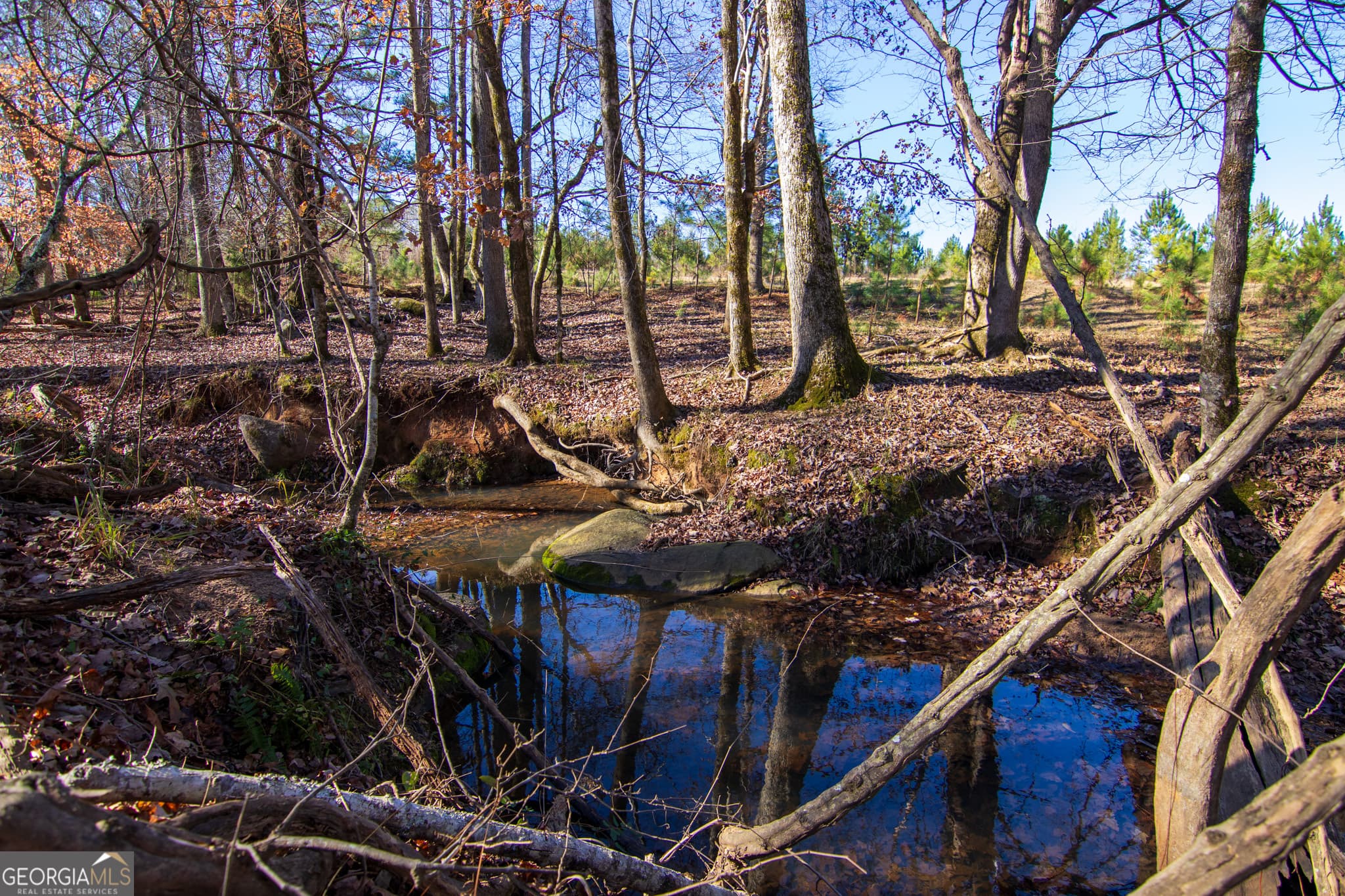 residential lot for sale at TRACT 2 - 0 ST. PAUL CHURCH Road, Shiloh, GA 31826 — photo 10