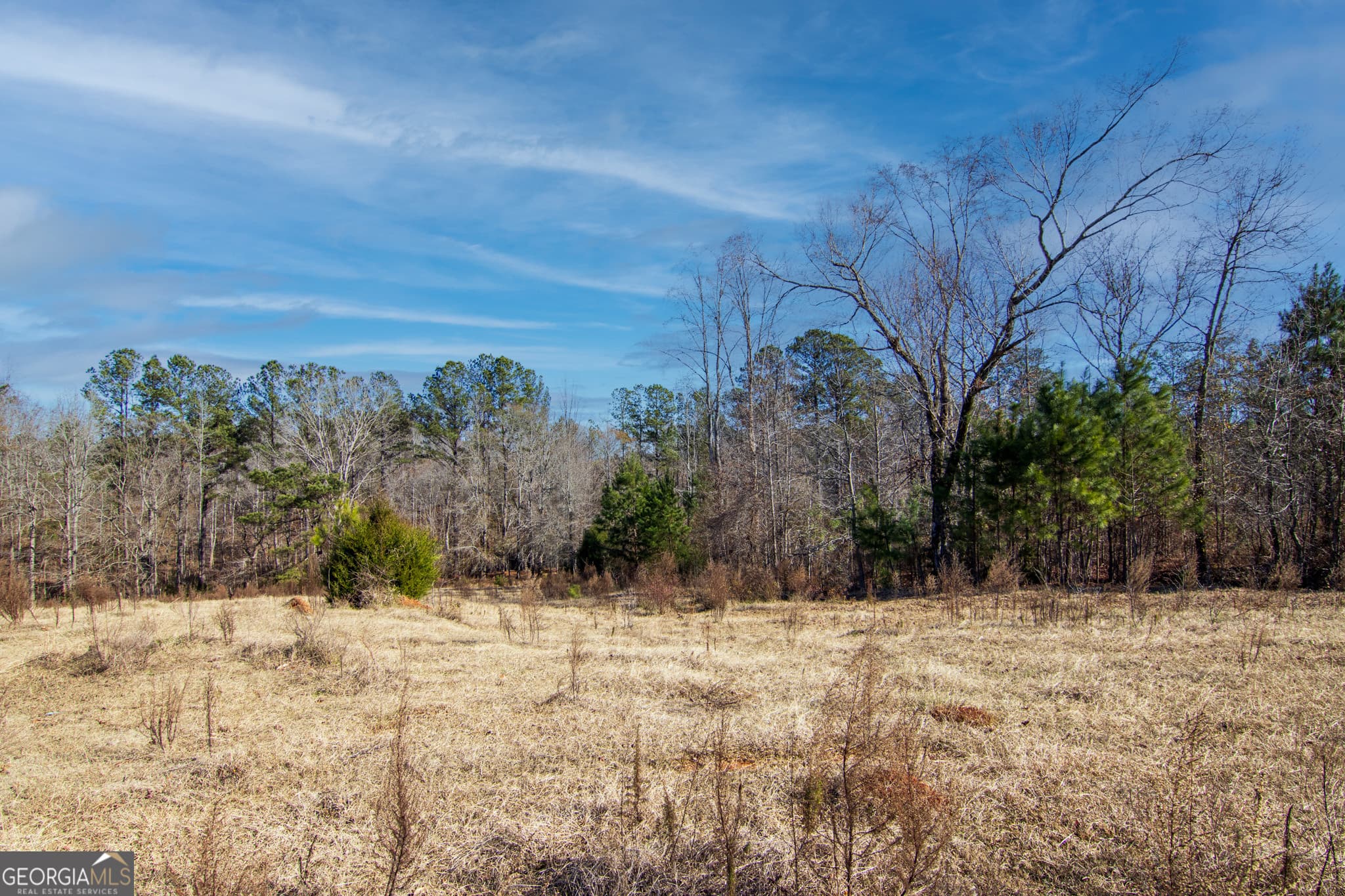 residential lot for sale at TRACT 2 - 0 ST. PAUL CHURCH Road, Shiloh, GA 31826 — photo 4