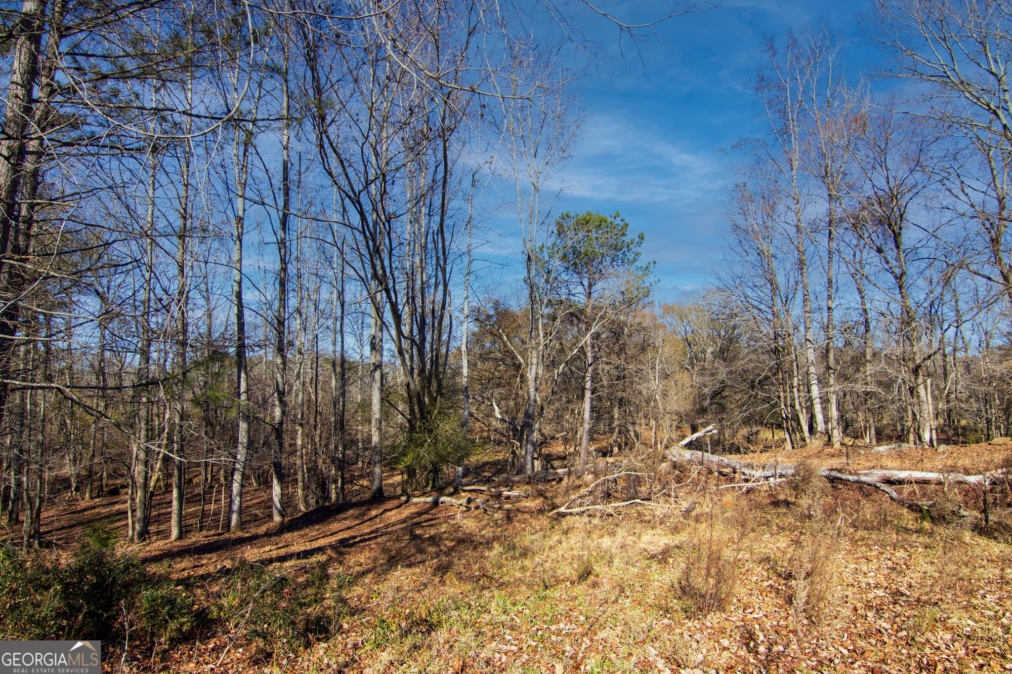 residential lot for sale at TRACT 2 - 0 ST. PAUL CHURCH Road, Shiloh, GA 31826 — photo 8