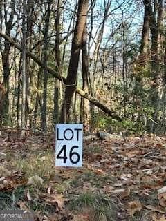 unimproved land for sale at 440 Ridge Road, Dawsonville, GA 30534 — photo 6