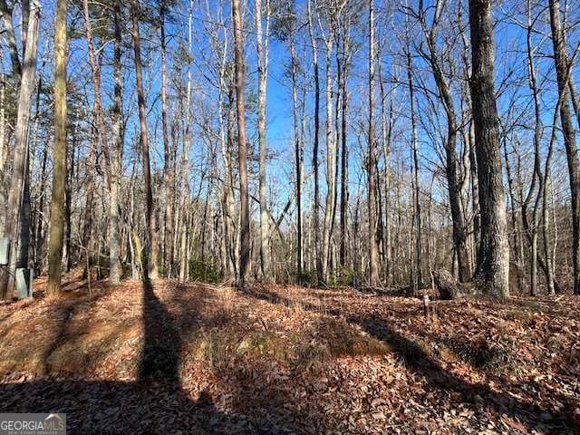 unimproved land for sale at 440 Ridge Road, Dawsonville, GA 30534 — photo 3