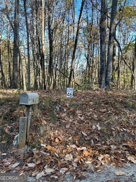 unimproved land for sale at 440 Ridge Road, Dawsonville, GA 30534 — photo 1 of 6