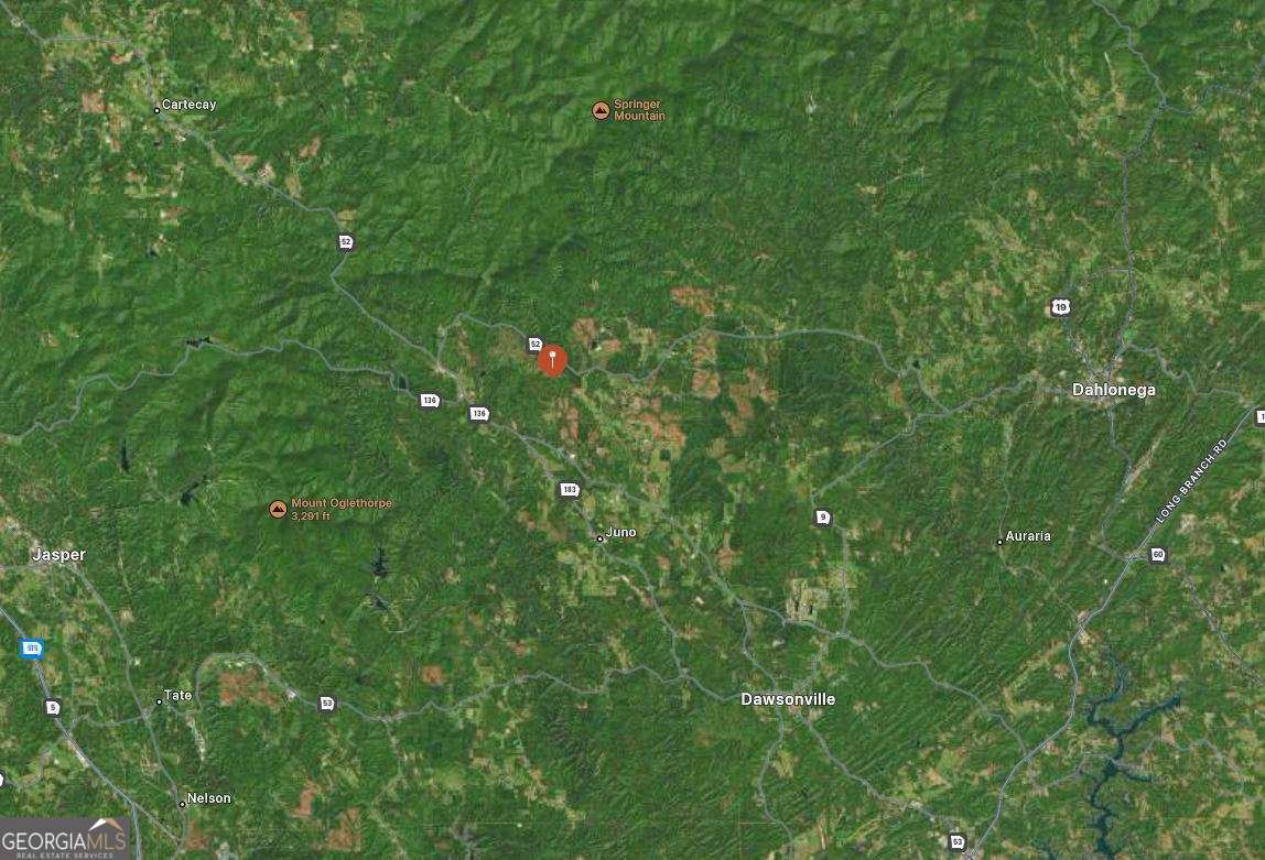 unimproved land for sale at 440 Ridge Road, Dawsonville, GA 30534 — photo 5