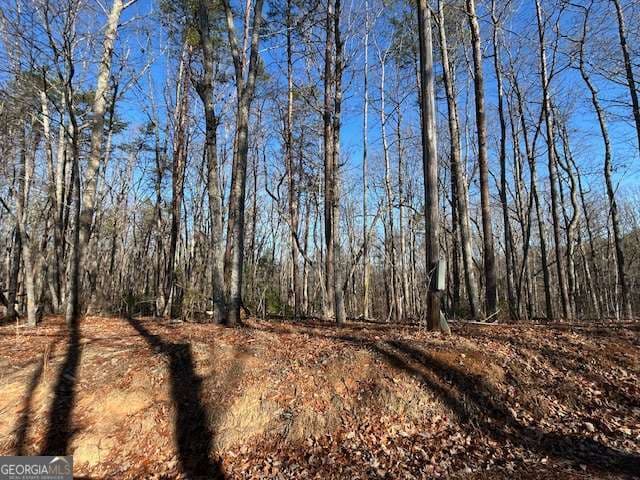 unimproved land for sale at 440 Ridge Road, Dawsonville, GA 30534 — photo 4