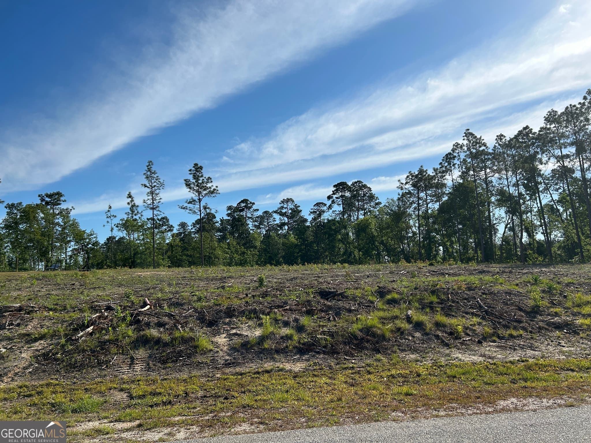 residential lot for sale at 170 Julie Drive, Vidalia, GA 30474 — photo 1 of 1