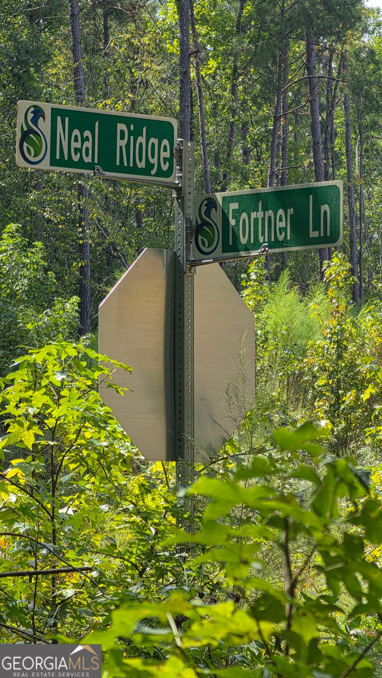 unimproved land for sale at 4810 Neal Ridge, South Fulton, GA 30349 — photo 2