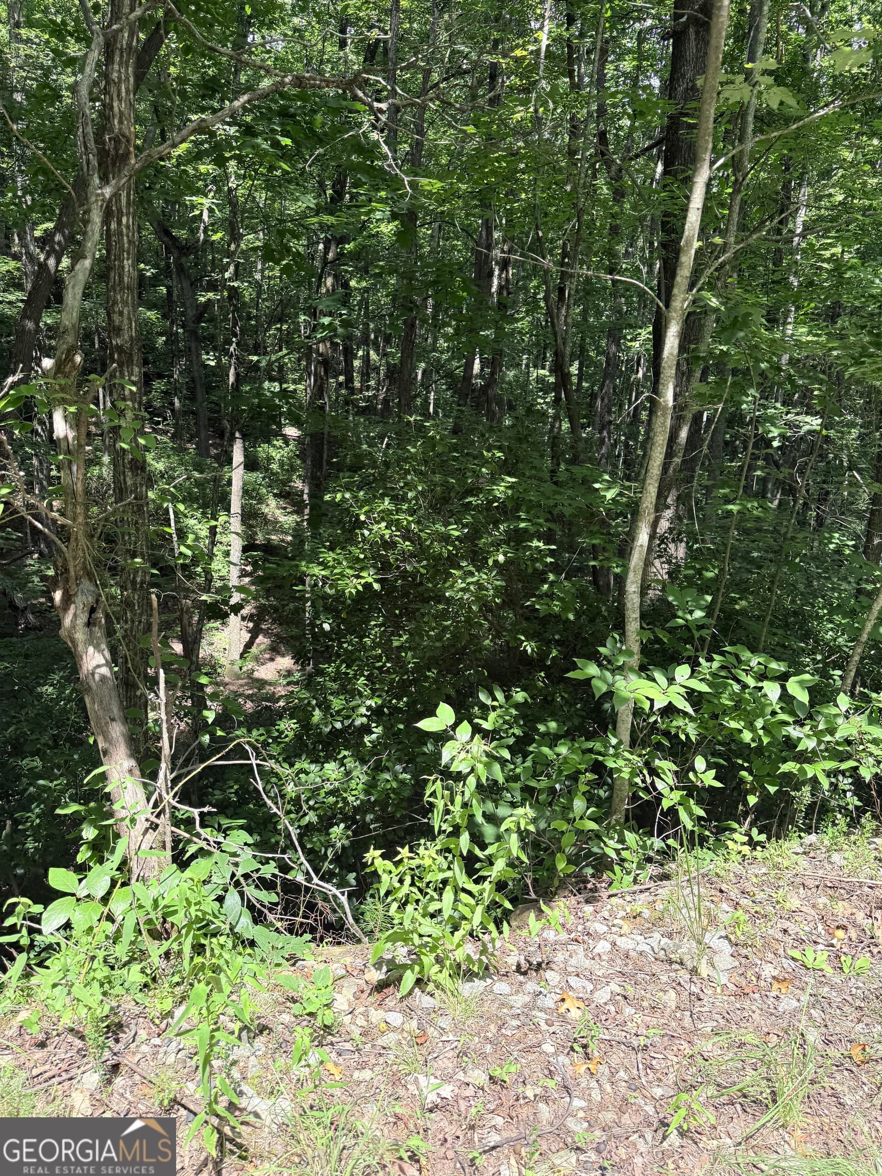 residential lot for sale at LOT 856 Larkspur Lane, Clayton, GA 30525 — photo 6