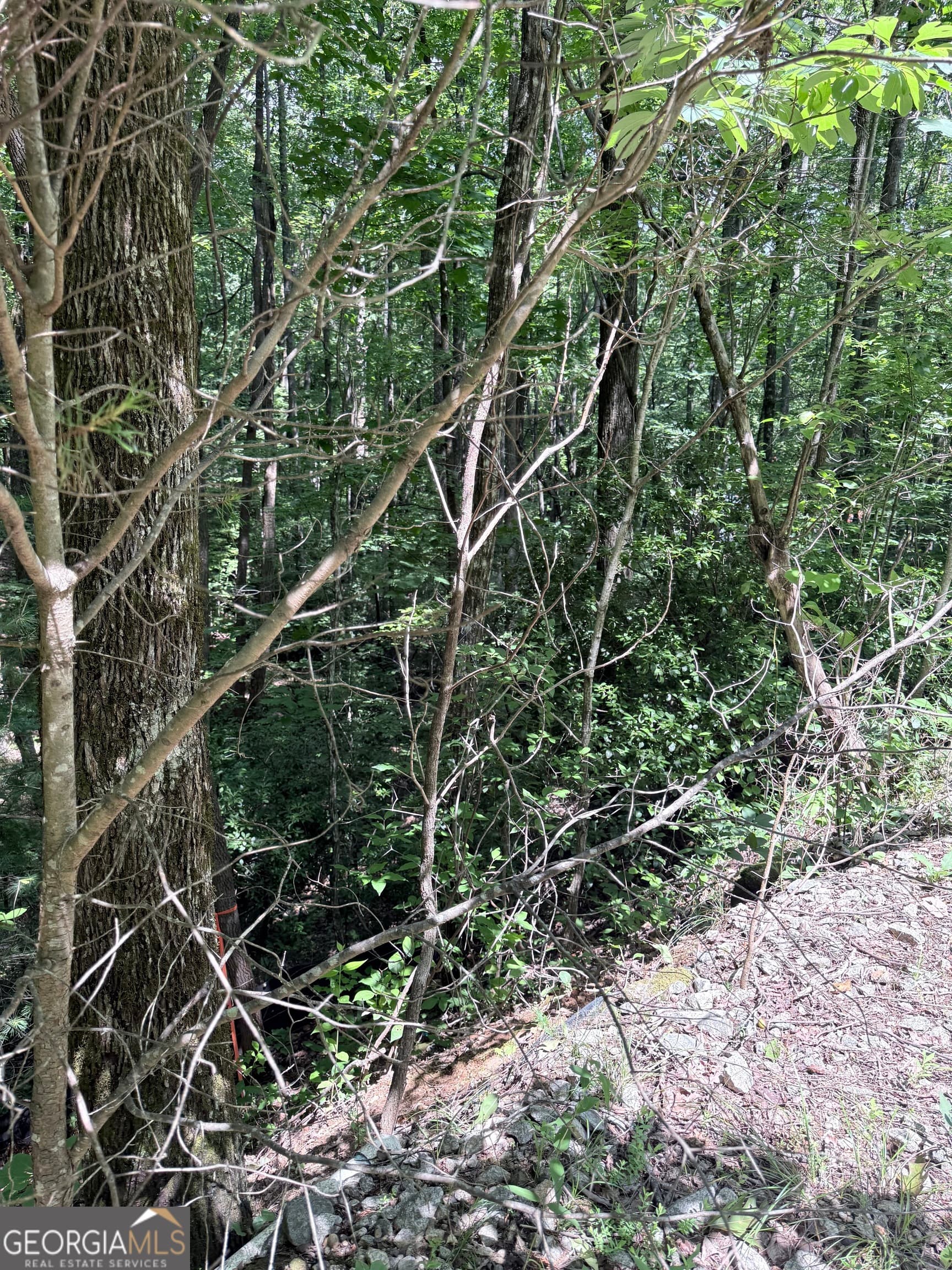 residential lot for sale at LOT 856 Larkspur Lane, Clayton, GA 30525 — photo 7