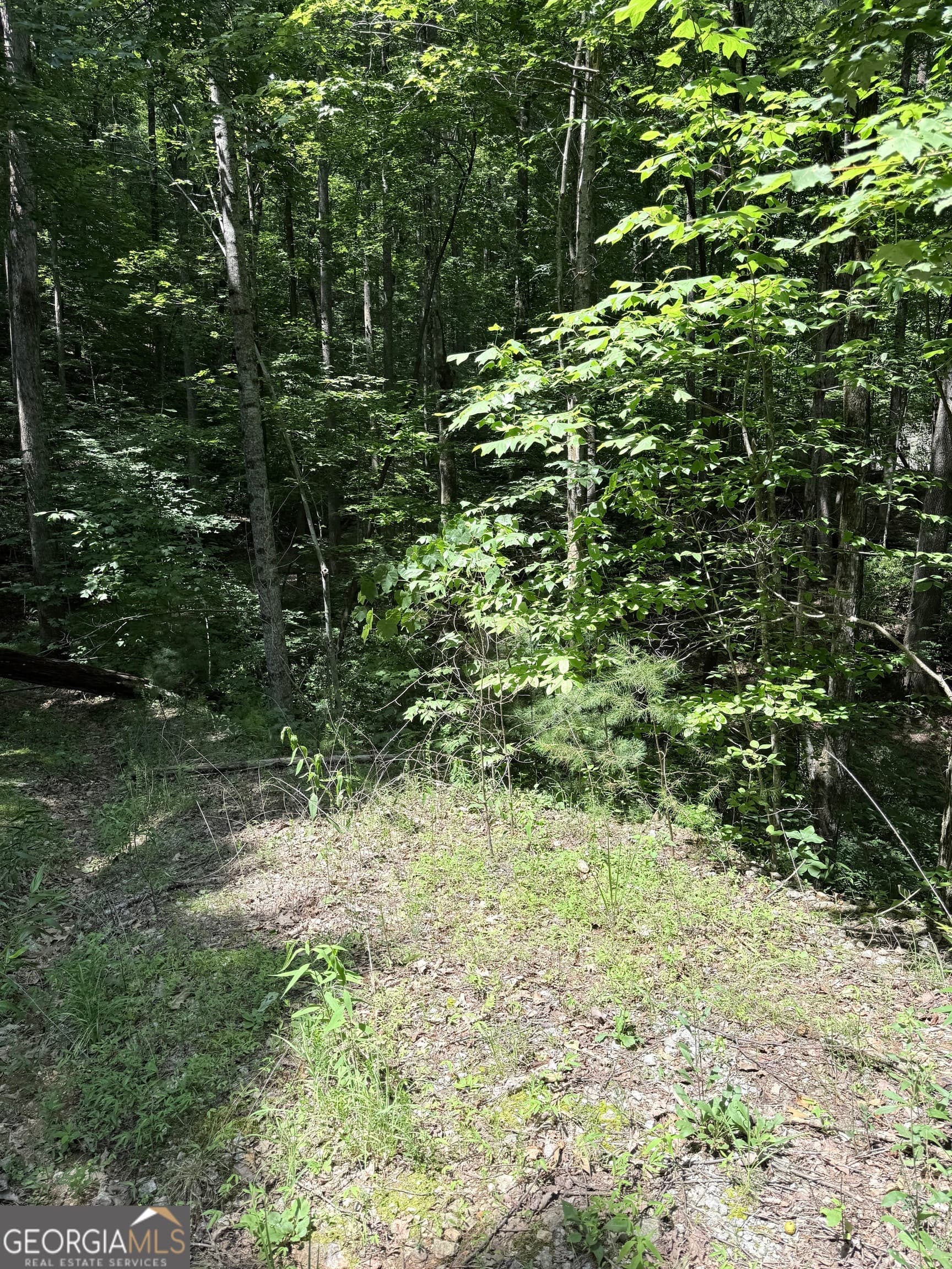 residential lot for sale at LOT 856 Larkspur Lane, Clayton, GA 30525 — photo 3