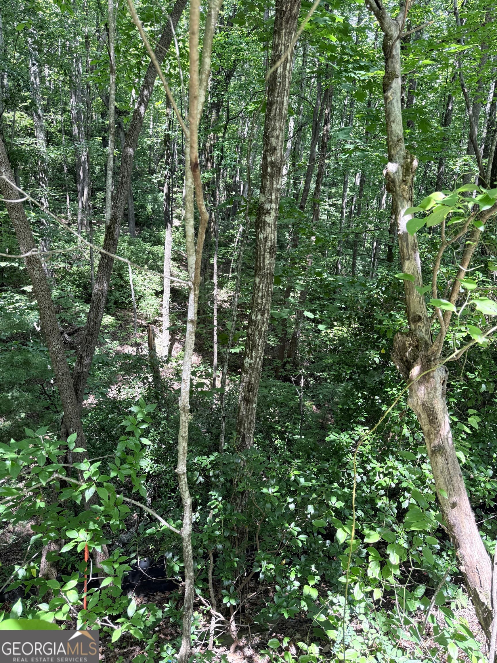 residential lot for sale at LOT 856 Larkspur Lane, Clayton, GA 30525 — photo 1 of 9