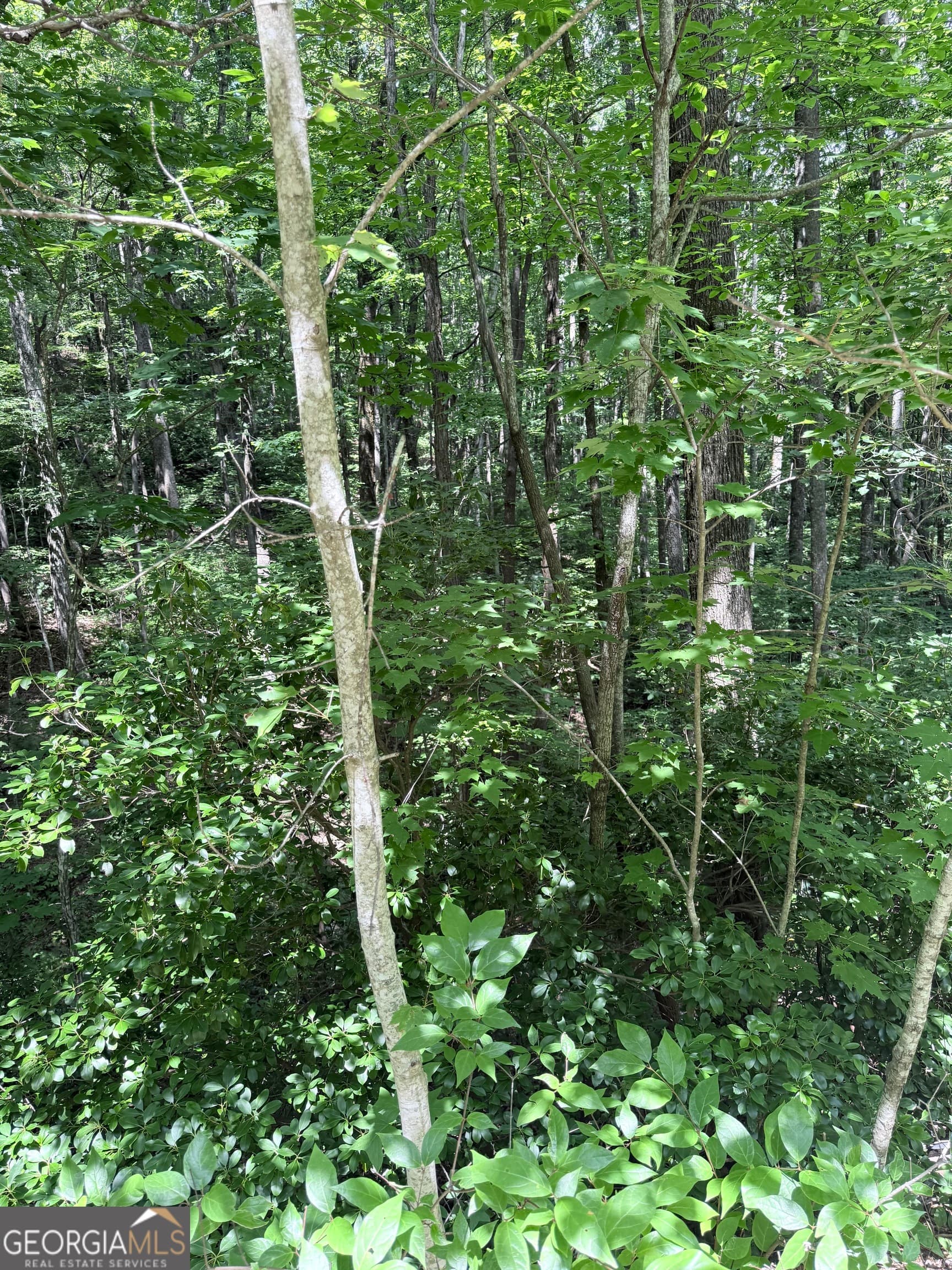 residential lot for sale at LOT 856 Larkspur Lane, Clayton, GA 30525 — photo 5