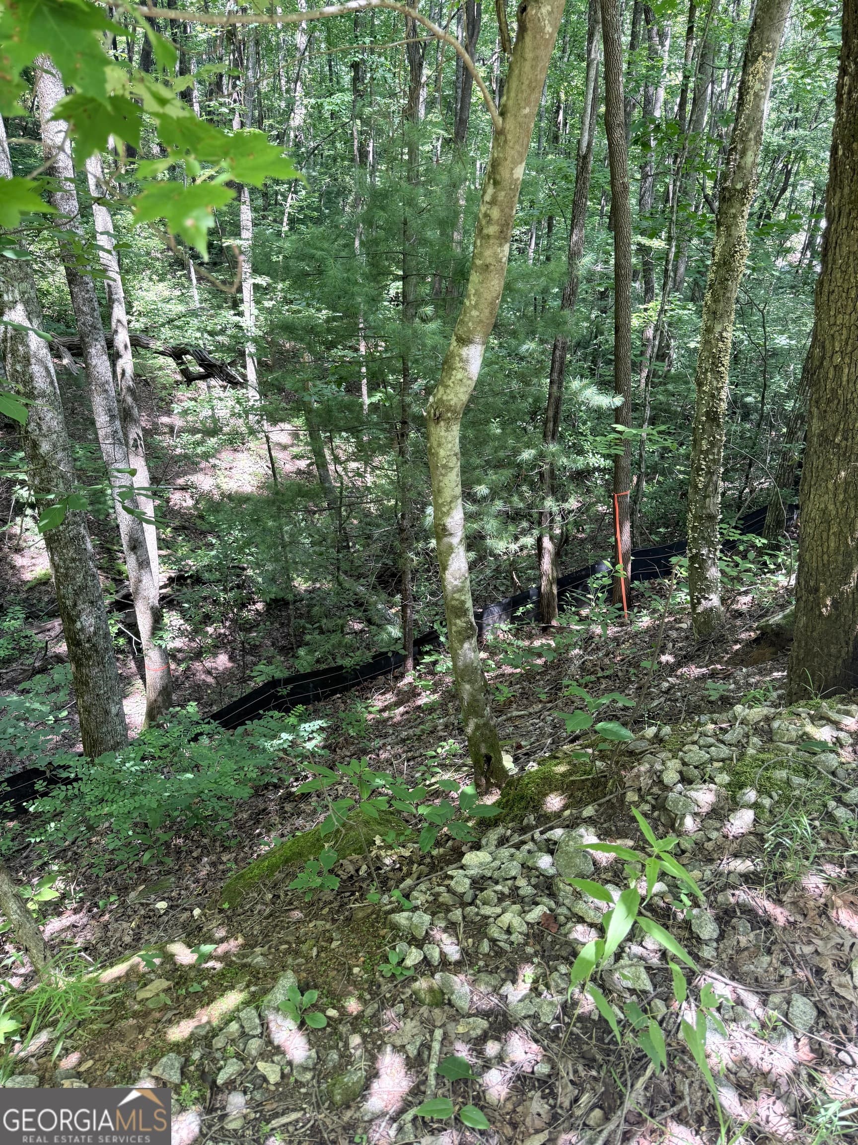 residential lot for sale at LOT 856 Larkspur Lane, Clayton, GA 30525 — photo 9