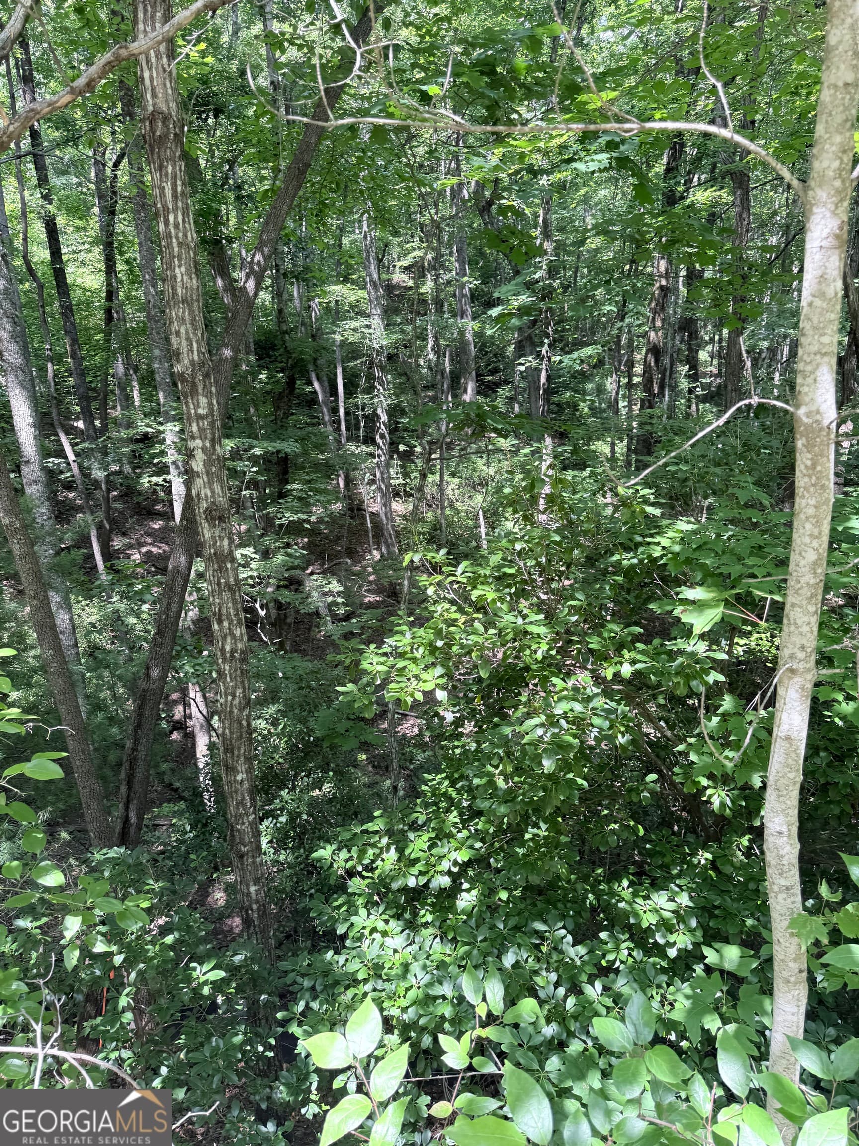 residential lot for sale at LOT 856 Larkspur Lane, Clayton, GA 30525 — photo 4