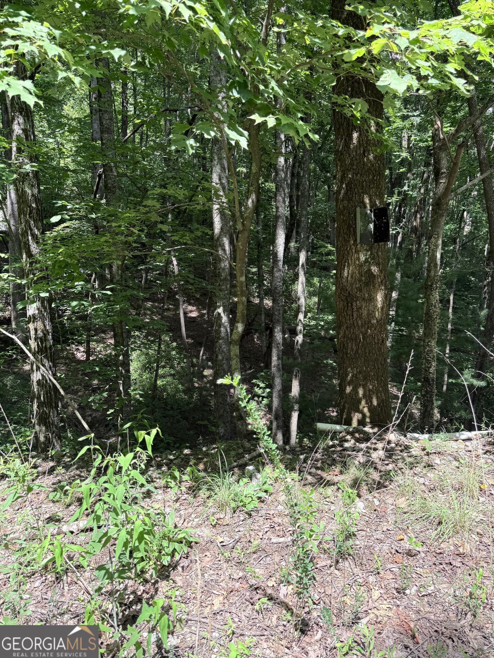 residential lot for sale at LOT 856 Larkspur Lane, Clayton, GA 30525 — photo 8