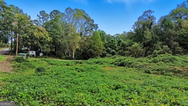 unimproved land for sale at 657 S Broad Street, Toccoa, GA 30577 — photo 5