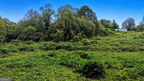 unimproved land for sale at 657 S Broad Street, Toccoa, GA 30577 — photo 4