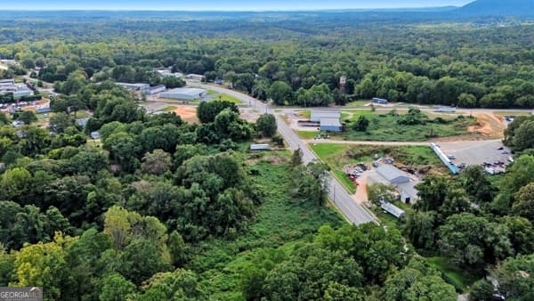 unimproved land for sale at 657 S Broad Street, Toccoa, GA 30577 — photo 8