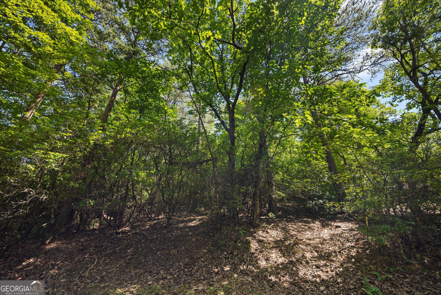 unimproved land for sale at 196 Cinnamon Fern Lane, Jasper, GA 30143 — photo 2