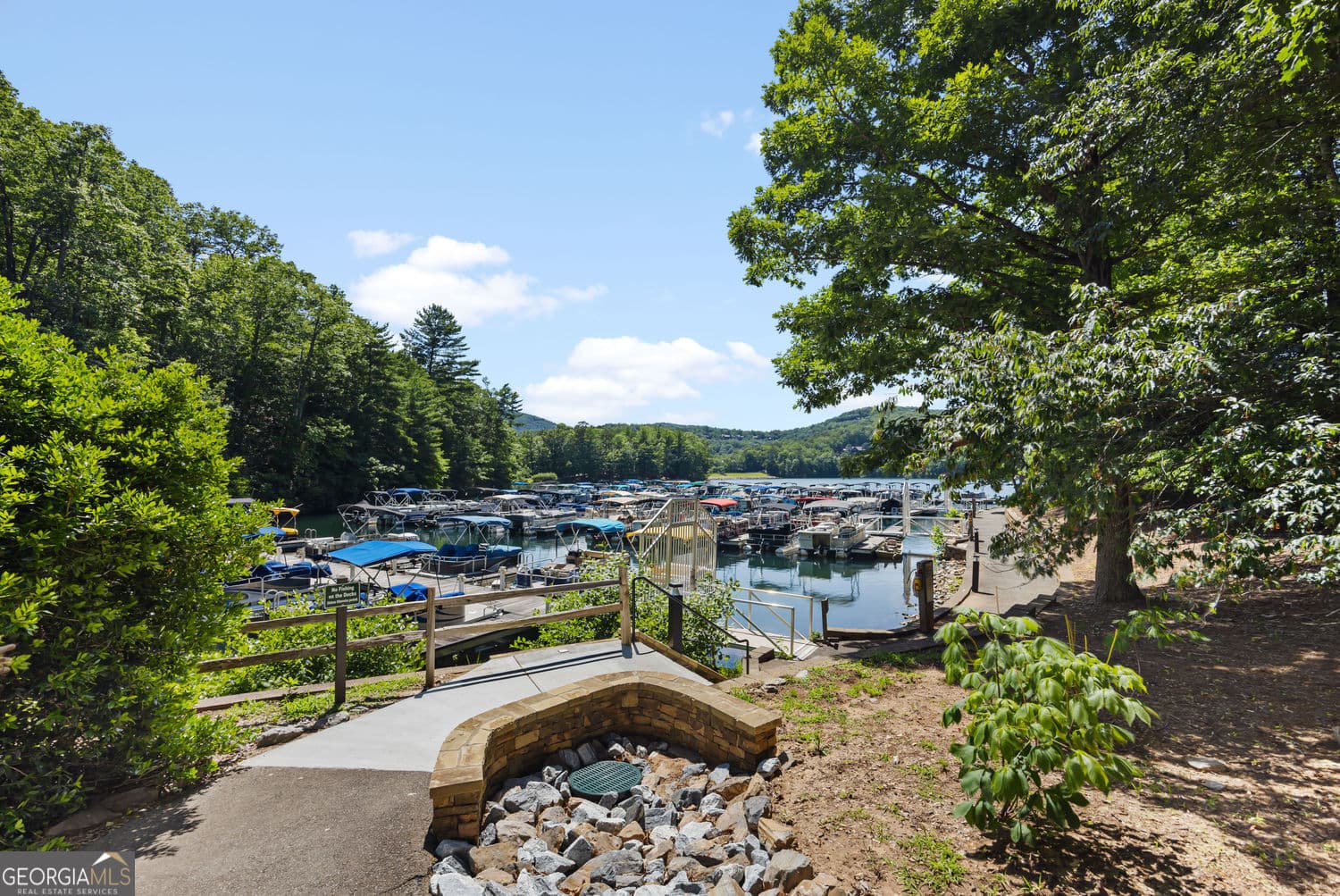 unimproved land for sale at 196 Cinnamon Fern Lane, Jasper, GA 30143 — photo 6