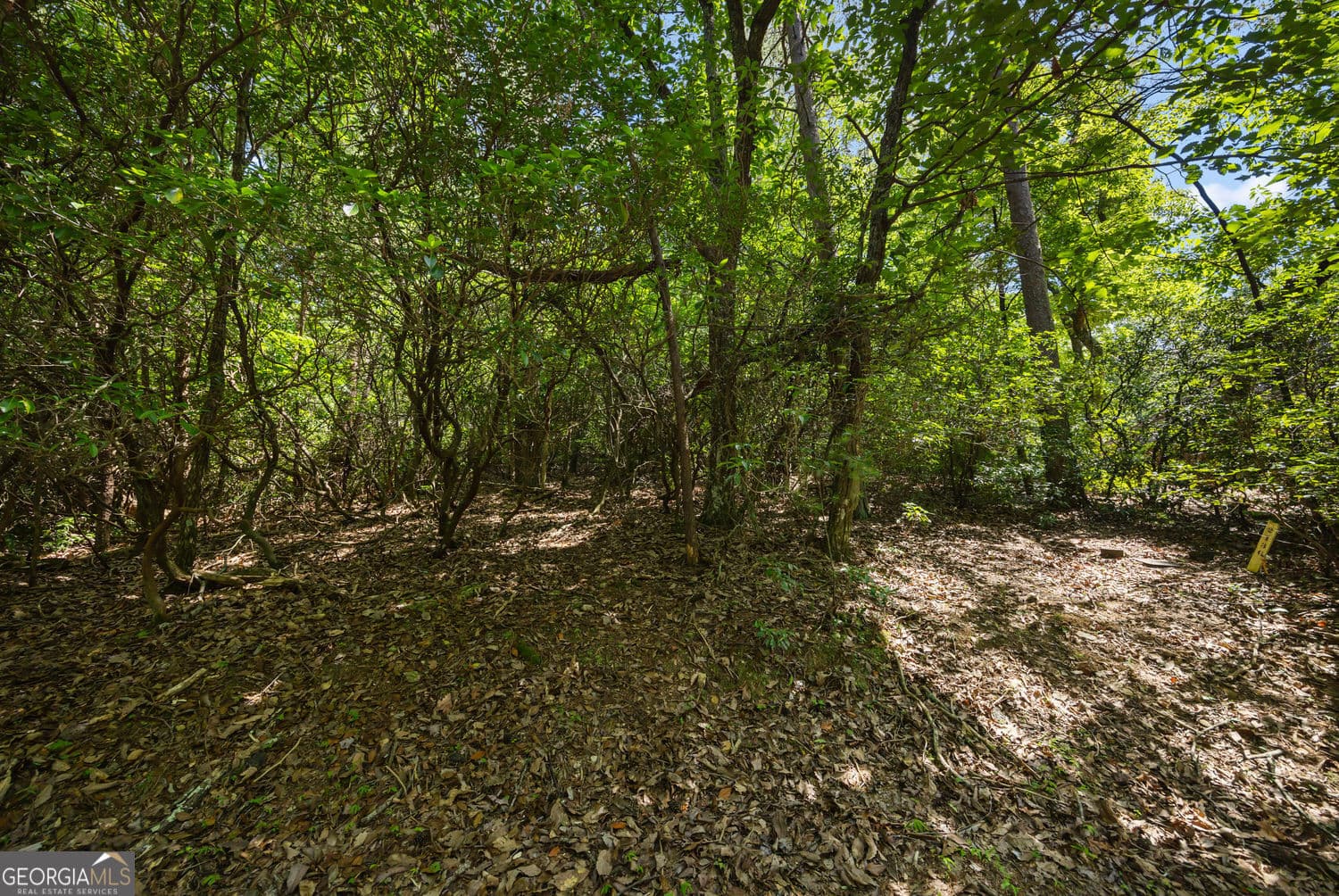 unimproved land for sale at 196 Cinnamon Fern Lane, Jasper, GA 30143 — photo 3