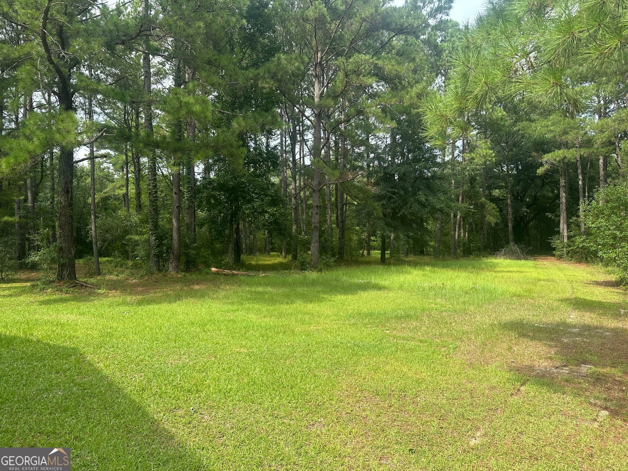 agriculture under contract at 3693 Joyner Oglesby Road, Sardis, GA 30456 — photo 9