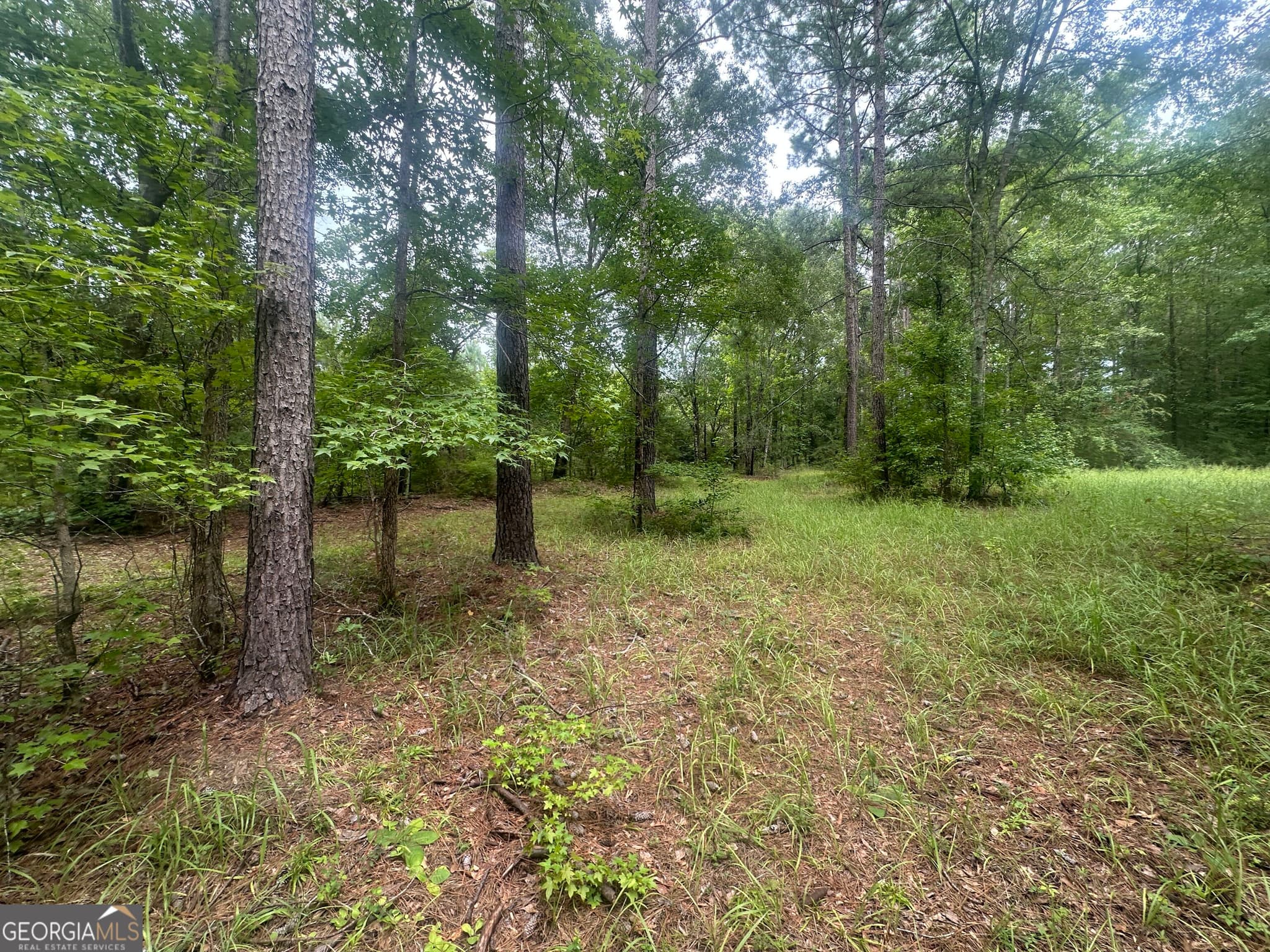 agriculture under contract at 3693 Joyner Oglesby Road, Sardis, GA 30456 — photo 10