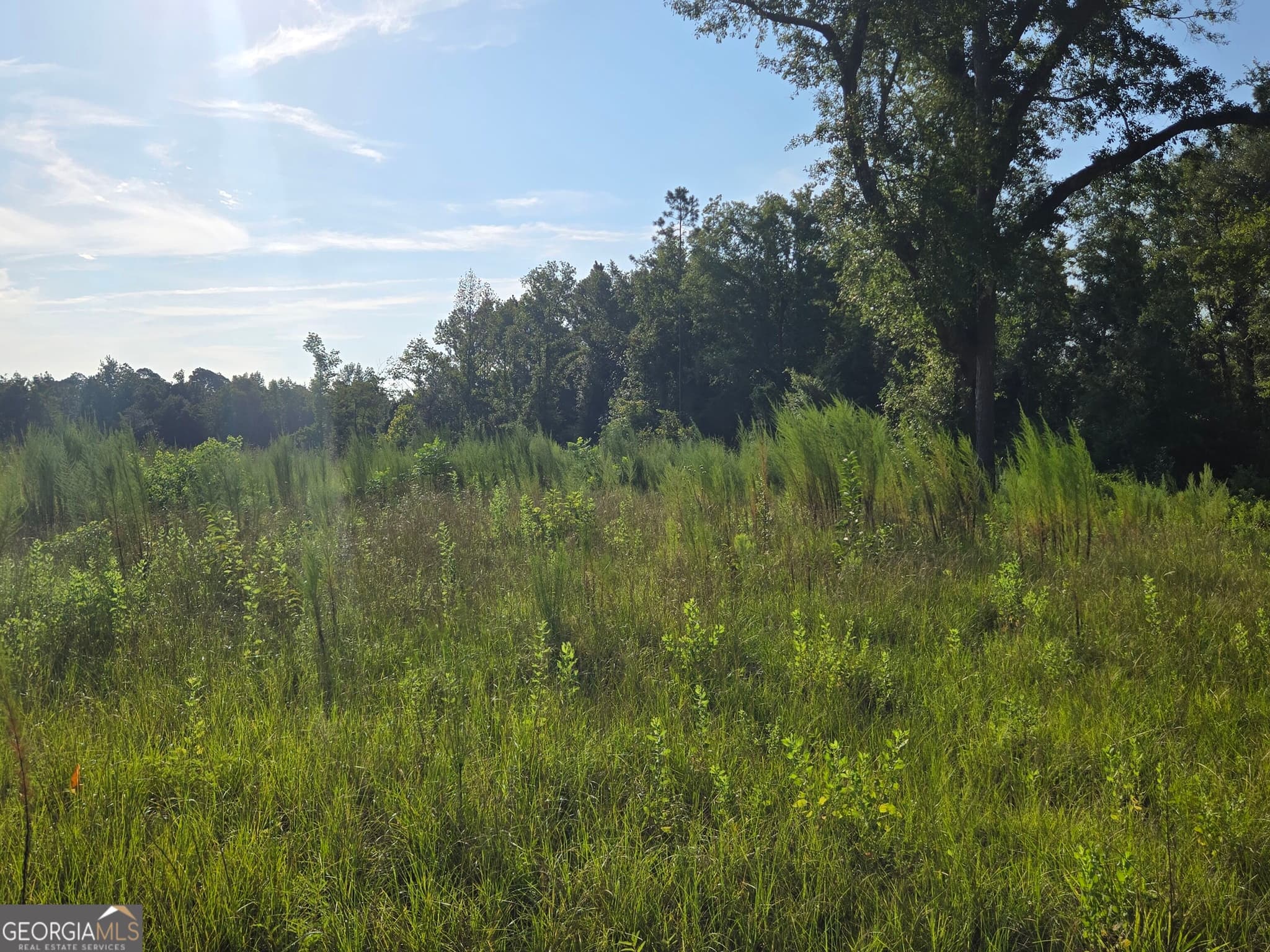 4 bedroom, 2 bathroom, 1,800 sq ft single family residence for sale at 535 Evans Street, Soperton, GA 30457 — photo 7