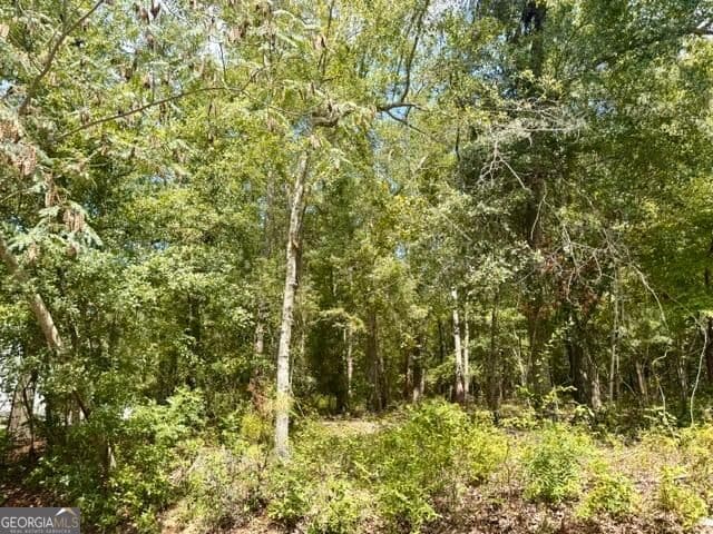residential lot for sale at LOT 18 Old Mill Way, Statesboro, GA 30461 — photo 6