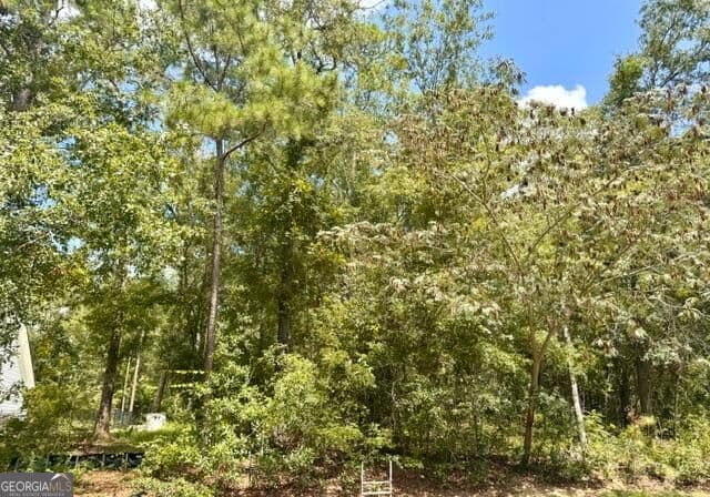 residential lot for sale at LOT 18 Old Mill Way, Statesboro, GA 30461 — photo 7