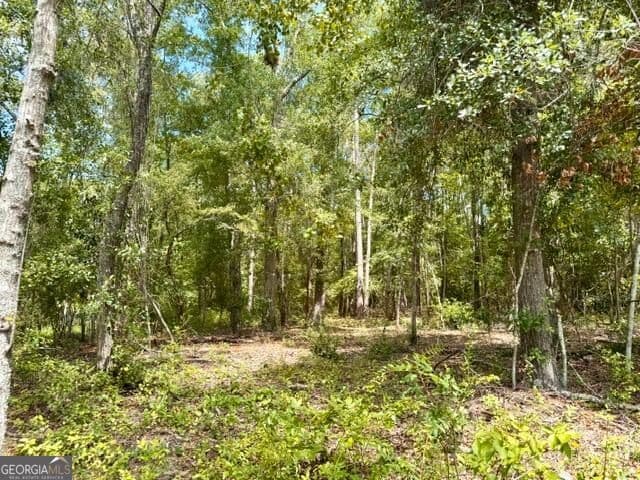 residential lot for sale at LOT 18 Old Mill Way, Statesboro, GA 30461 — photo 5