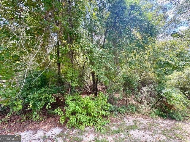 residential lot for sale at LOT 18 Old Mill Way, Statesboro, GA 30461 — photo 4
