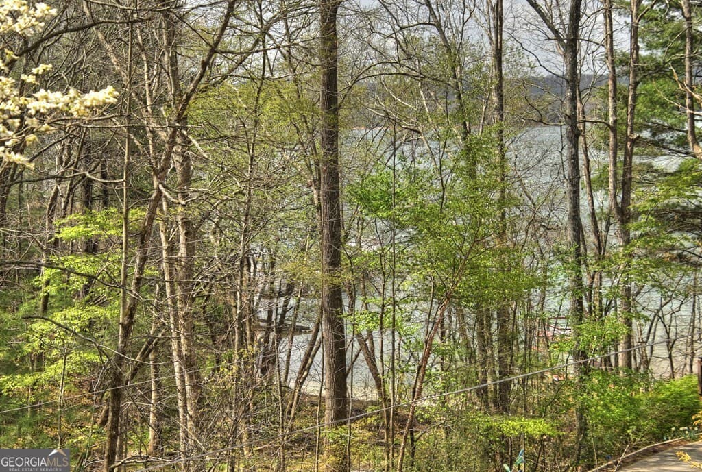 1 bedroom, 1 bathroom, 780 sq ft cabin,single family residence for sale at 32 Lake Front Drive, Morganton, GA 30560 — photo 2