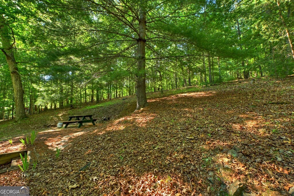 1 bedroom, 1 bathroom, 780 sq ft cabin,single family residence for sale at 32 Lake Front Drive, Morganton, GA 30560 — photo 6
