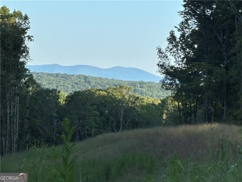 residential lot for sale at LOT 1 Norton Ridge, Dahlonega, GA 30533 — photo 5