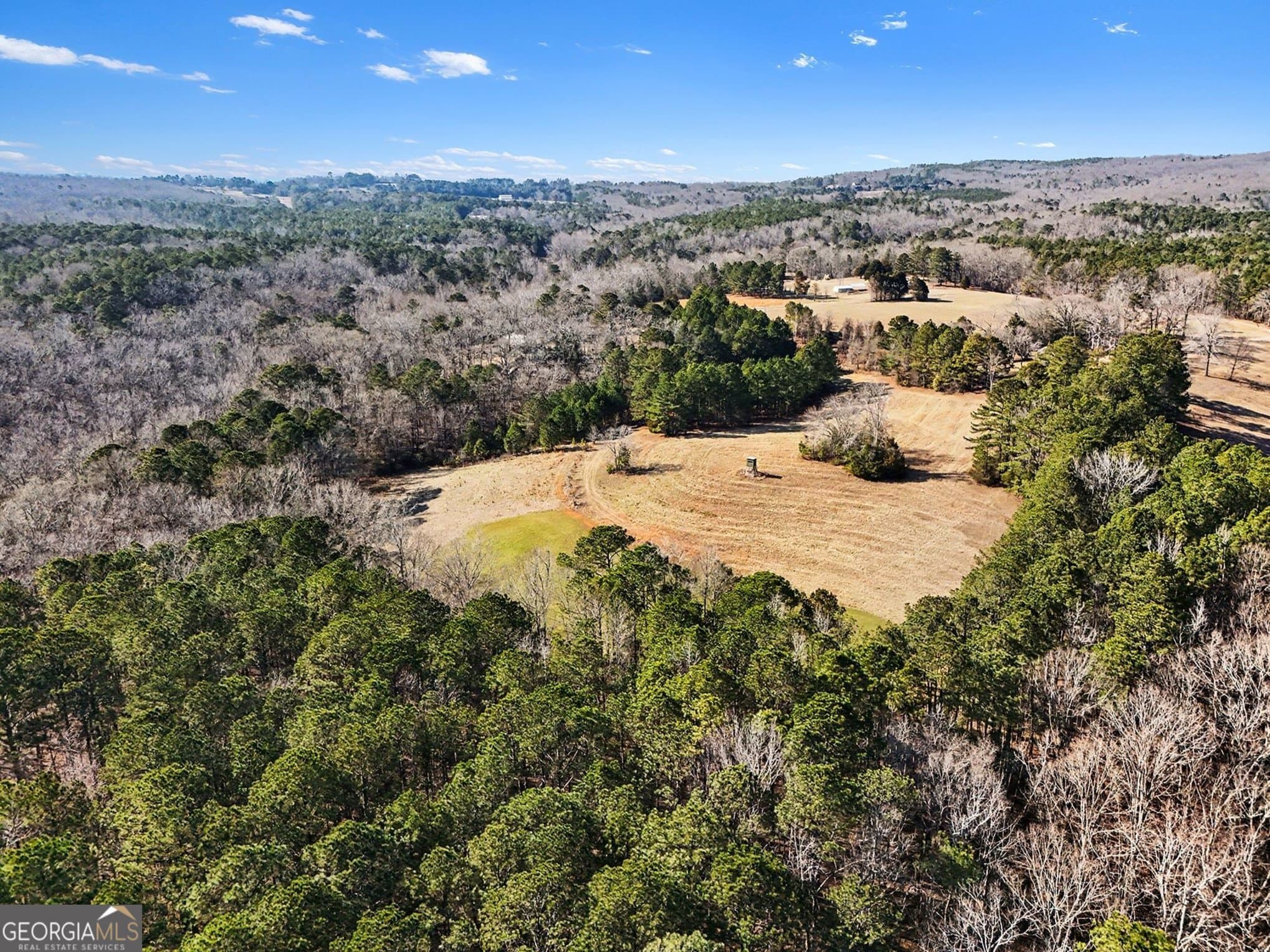 unimproved land for sale at 0 Vineyard Road, Thomaston, GA 30286 — photo 2