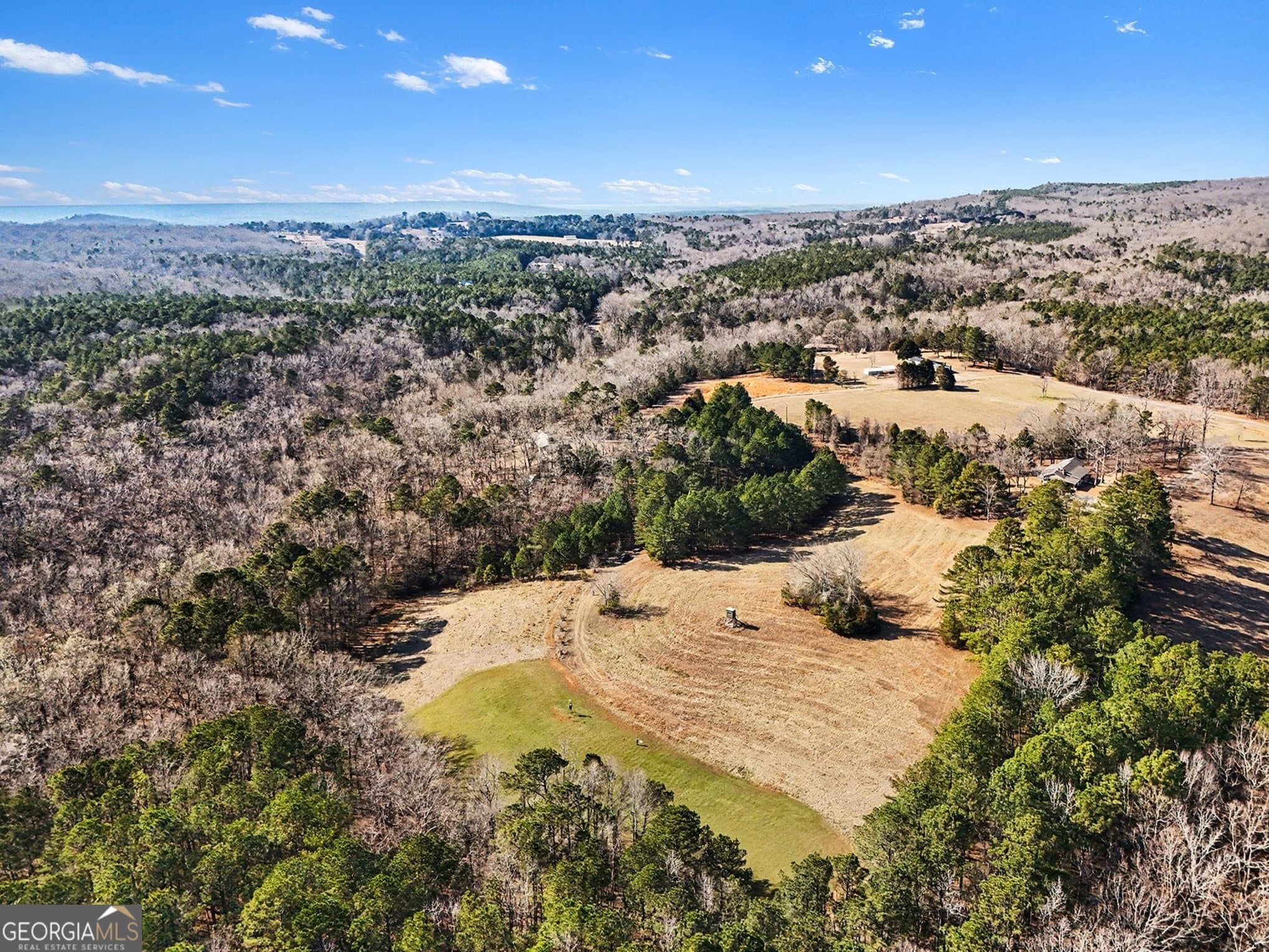unimproved land for sale at 0 Vineyard Road, Thomaston, GA 30286 — photo 6