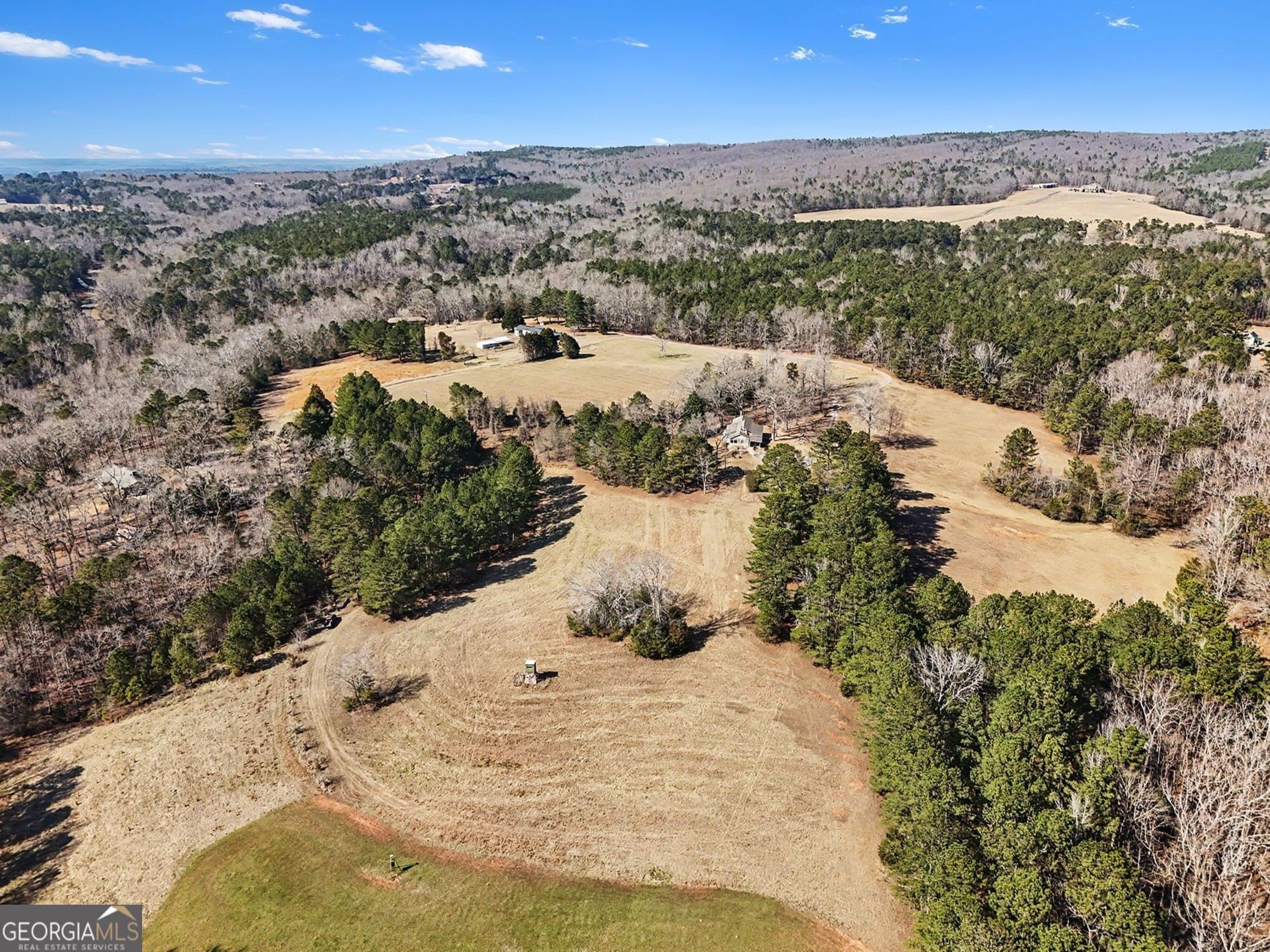 unimproved land for sale at 0 Vineyard Road, Thomaston, GA 30286 — photo 7