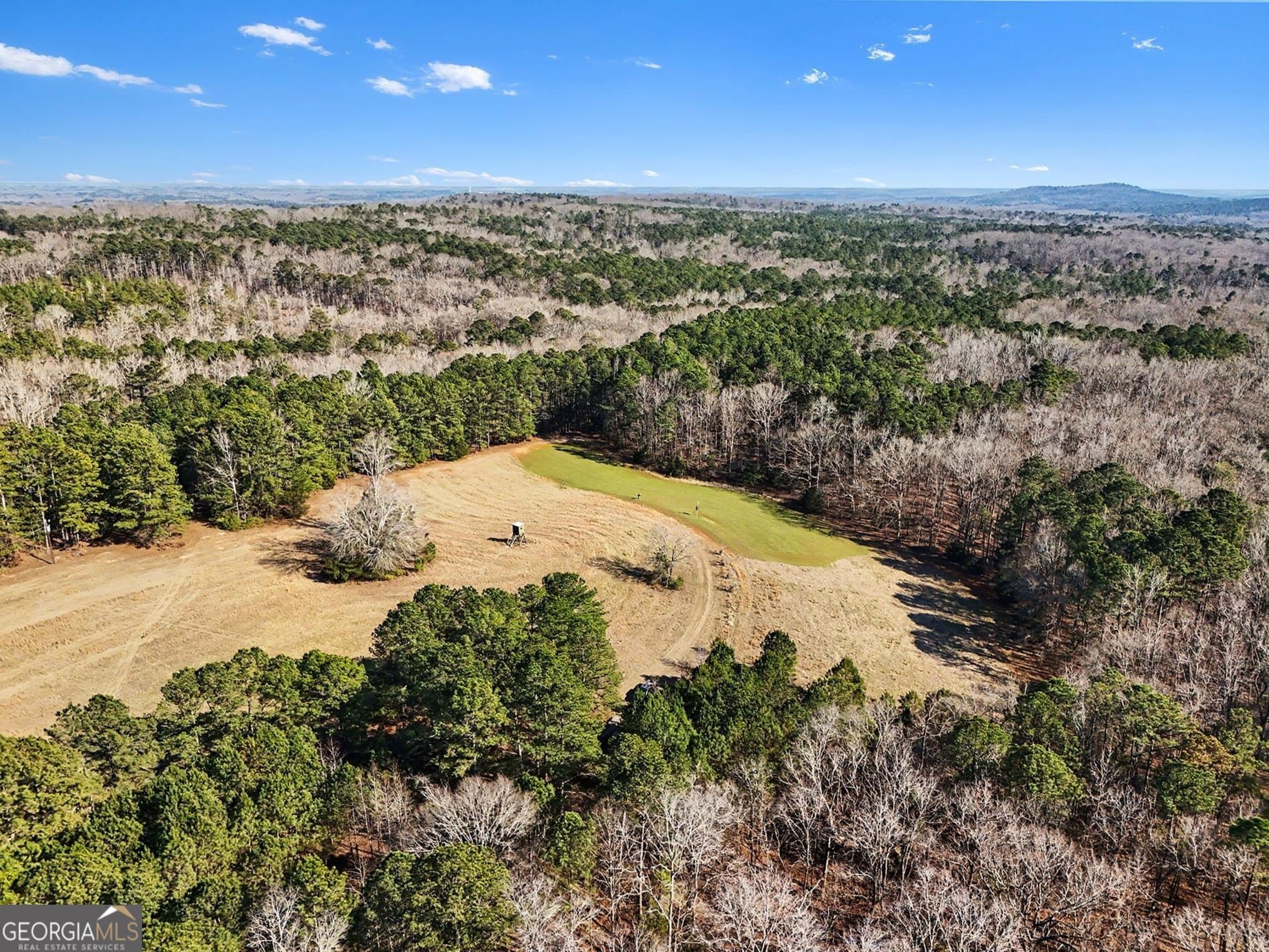 unimproved land for sale at 0 Vineyard Road, Thomaston, GA 30286 — photo 3