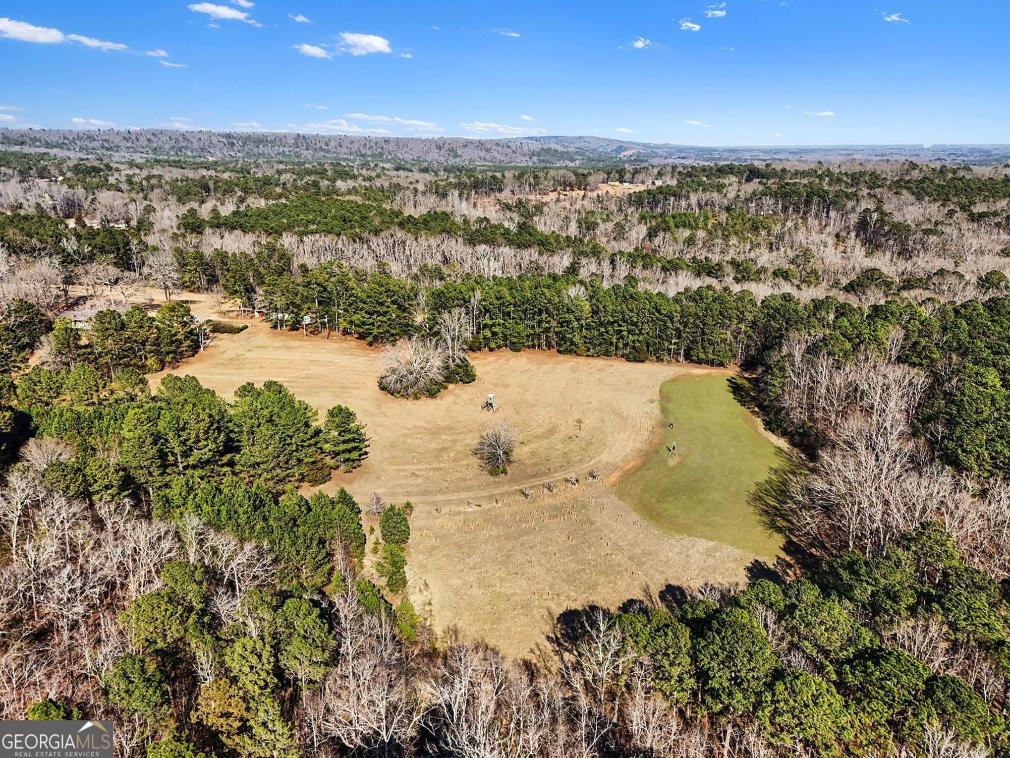 unimproved land for sale at 0 Vineyard Road, Thomaston, GA 30286 — photo 1 of 40